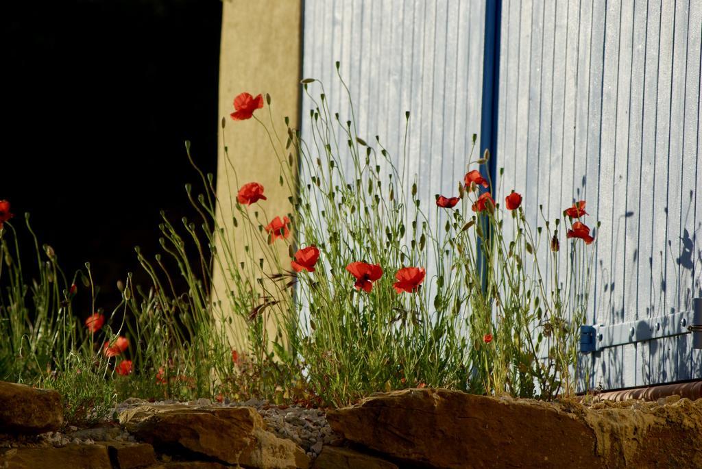 Mas Caipi La Cadiere D'Azur At My Luxury Home In Provence Exterior photo